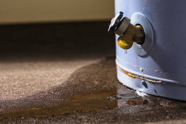 Best Water damage restoration near me  in Hines, OR