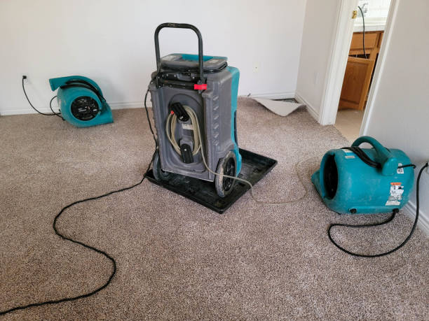 Best Water damage repair service  in Hines, OR
