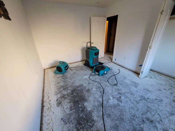 Best Professional water damage repair  in Hines, OR