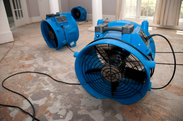 Best Water damage restoration near me  in Hines, OR