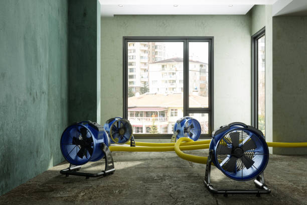 Best Mold removal after water damage  in Hines, OR